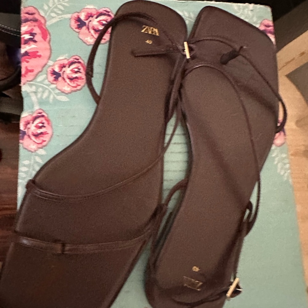 Zara Brown Minimalist Sandals